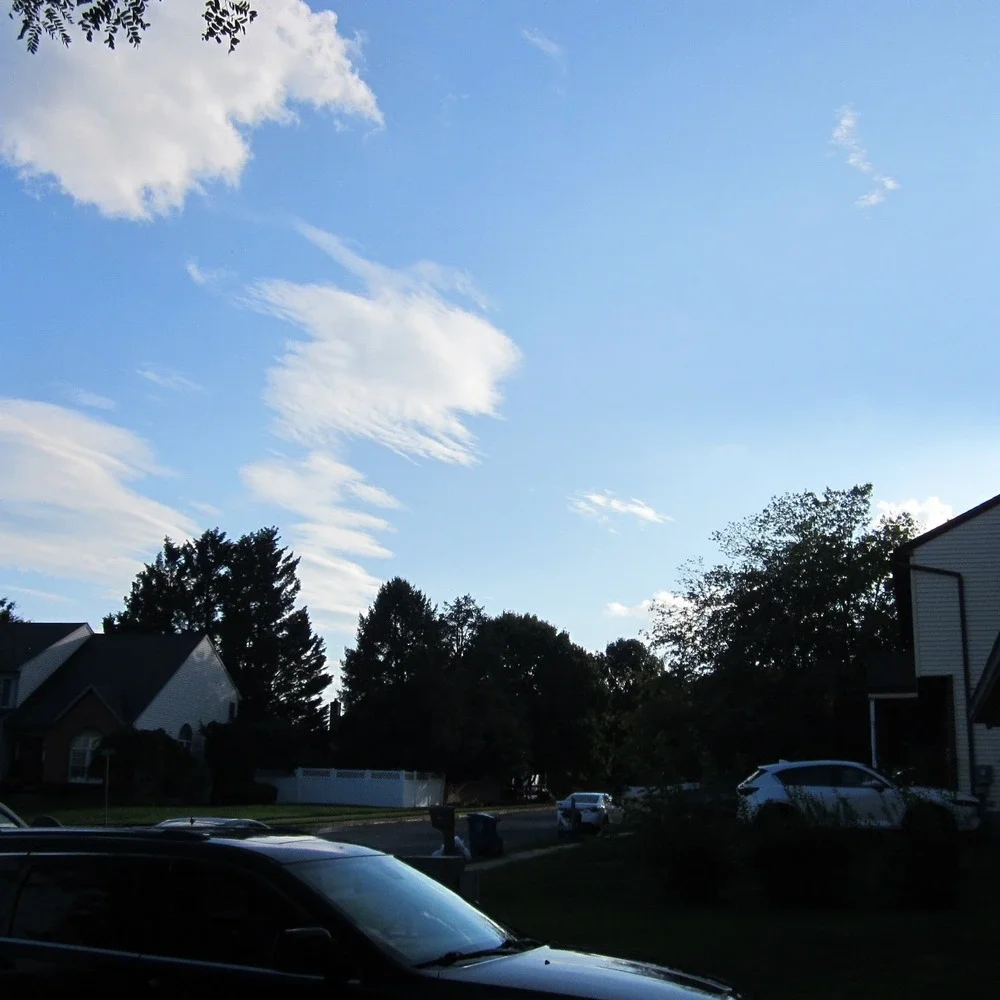 Canon powershot a1200